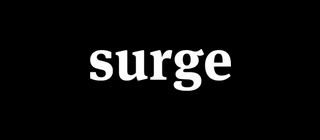 Surge logo — walrus icon and lowercase surge wordmark on mint green